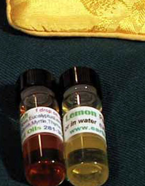 Acid Reflux/Digestive Chakra Pack in Gift Bag