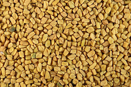Fenugreek Select SCO2 #2