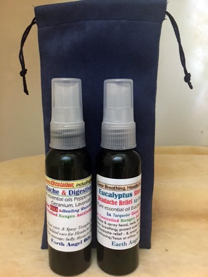 Head/Gut Nourishing Spray Gift #3