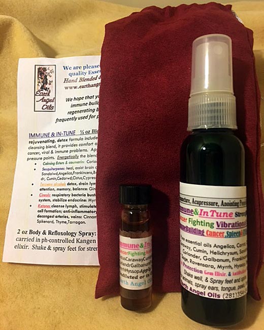 Immune InTune Spray Blend Combo Gift