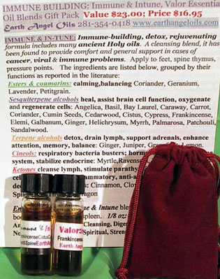 Immune Support Chakra Pack in Gift Bag