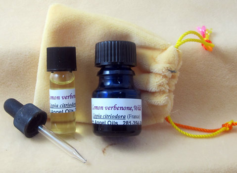 Lemon Verbena, Wild #2