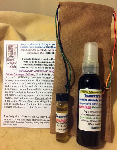 Teamwork Spray/Blend Combo Gift