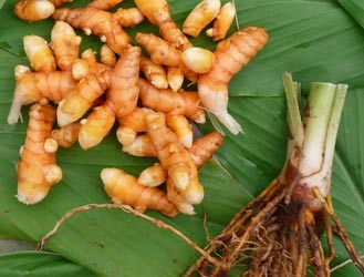 Turmeric CO2 Essential Oil #3